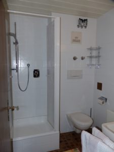 Dusche, WC, Waschbecken - eine angenehme und funkionelle Nasszelle.