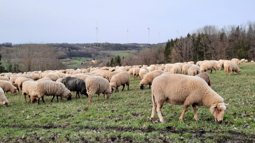 Frohe Ostern